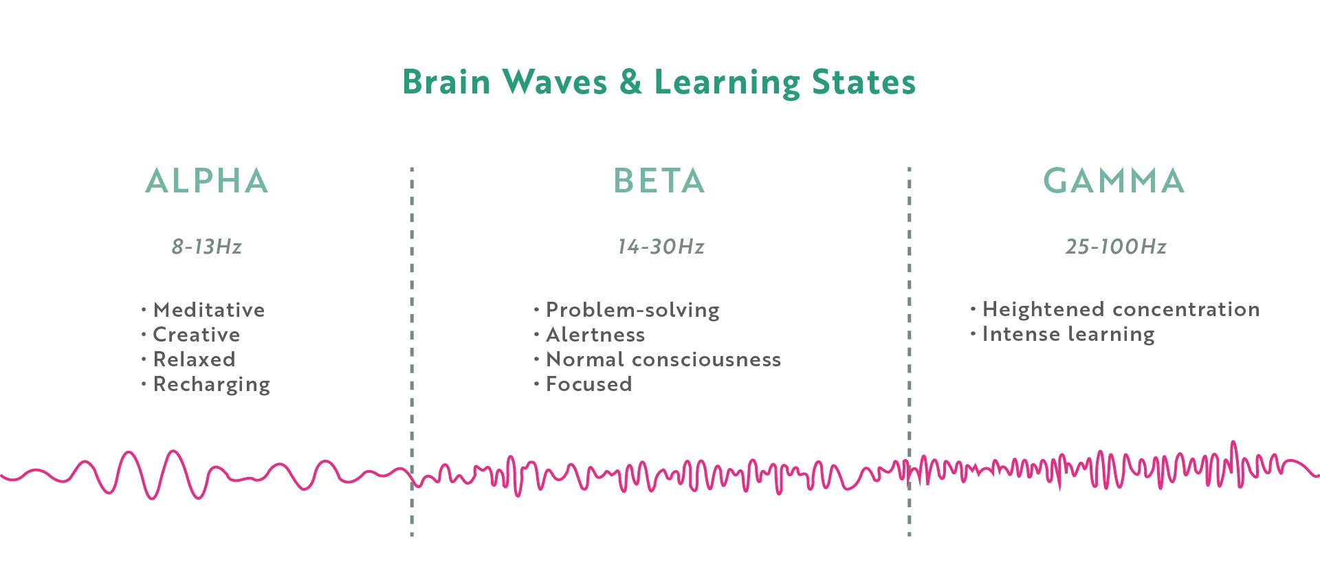 A graph of differing brain waves.